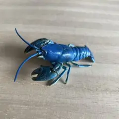 2025年最新】日本 ザリガニの人気アイテム - メルカリ