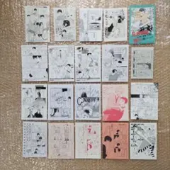 BL 特典ペーパー F まとめ売り