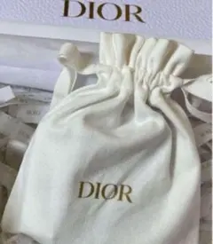 新品　DIOR クリスチャンディオール　ポーチ　巾着　ChristianDior