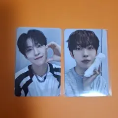 ALD1 ショーケース トレカ ゴヌ