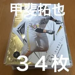 甲斐拓也 ３４枚