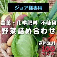 専用出品のサムネイル