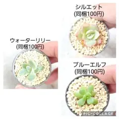 な様 リクエスト 3点 まとめ商品