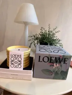 限定品　LOEWE キュウリ香りキャンドル 610g 新品未開封】【限定品】希少 LOEWE キュウリ香りキャンドル 610g