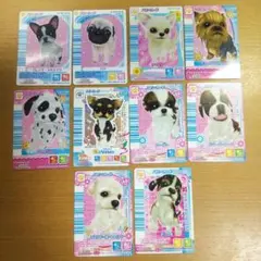 ワンタメ パピーカード バラ売り可能