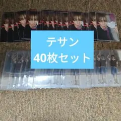 BOYLIFE ソロジャケ BOYNEXTDOOR トレカ テサン　40枚セット