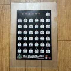 Item thumbnail for item 533c30dc-c673-4906-a381-67aa6a6deddd