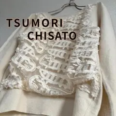 【極美品】TSUMORI CHISATO 刺繍ニット ウール100 美品 秋冬