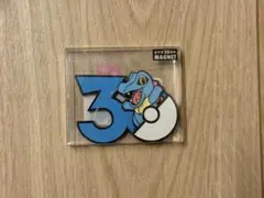 中国限定 ポケモン30周年記念 メタルマグネット ウインディ - メルカリ