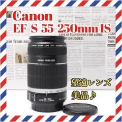 極美品✨手振れ補正付き✨Canon EF-S 55-250mm IS✨望遠レンズ - メルカリ
