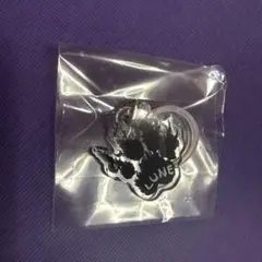 &team POP UP カプセルトイ ニコラス レア めじるしチャーム