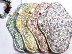 Item thumbnail for item 54879898-c7b3-486e-be6c-3987fa3639d9