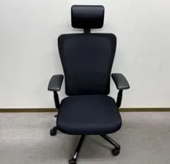 HAWORTH（ヘイワース） ゾディ ヘッドレスト付き