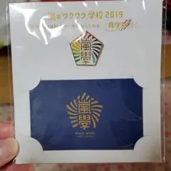 嵐のワクワク学校　2019 ピンバッチ