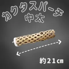 m　止まり木　カクタス　スケルトン　パーチおまとめ3本 鳥用品 止まり木 カクタス スケルトン パーチ 中太No.155 - メルカリ