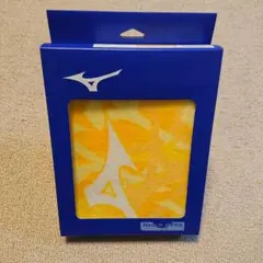 Item thumbnail for item 5b62d49e-edc4-44ee-b27b-6b196cfa7ec6