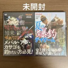 アングリングソルト　特別付録DVD2枚セット　メバル　アジ　カサゴ　シーバス