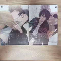 キューピッドに落雷、追撃　２冊セット　鈴丸みんた