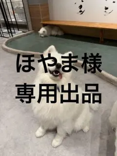 ほやま様 専用出品