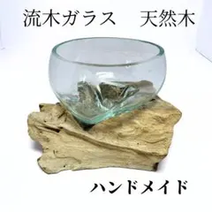 流木ガラス オブジェ 天然木 花瓶 金魚鉢 ガーデニング フラワーポット アート