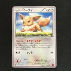 【匿名配送】イーブイ C XY3 ライジングフィスト 075/096