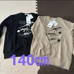 恐竜