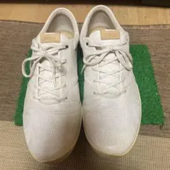 ✨極美品✨ inov8 f-lite 245 ランニング トレーニング 28 - メルカリ