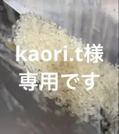 か*え様 令和7年度産 コシヒカリ 20kg JA東西しらかわ 保有米 玄米