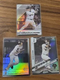 Item thumbnail for item 1d513502-a4f9-4ece-94ba-79c508709aba