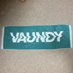 2026年最新】VAUNDY タオルの人気アイテム - メルカリ