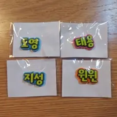 NCT NATION ランダムトイ ネームラバーステッカー