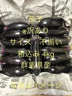 訳あり 群馬県産 茄子 箱込み4kgのサムネイル