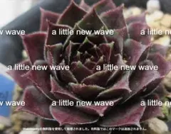 2026年最新】ガーガメルの人気アイテム - メルカリ