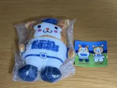 にっこりーノ　ベイスターズ　スターマン