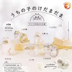 国内正規品　うちの子のけだまだま ガチャ カプセルトイ 全6種フルコンプセット
