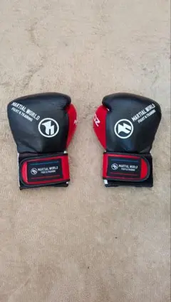 MARTIAL WORLD ボクシンググローブ ブラック/レッド