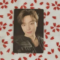 SEVENTEEN セブチ FOLLOW AGAIN トレカ ディノ81