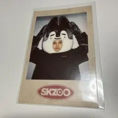 straykids チャンビン SKZOO ポラロイド - メルカリ