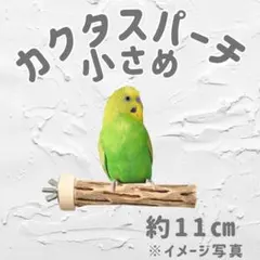 鳥用品　止まり木　カクタス　スケルトン　パーチ　超特大　No.233 鳥用品 止まり木 カクタス スケルトン パーチ 超特大 No.233 鳥