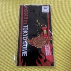 AKB48 in TOKYO DOME キーホルダー
