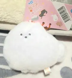 2026年最新】つぶらな瞳の犬と猫の人気アイテム - メルカリ