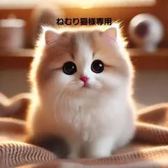 ねむり猫 ～8/31まとめ割引up様専用 - メルカリ