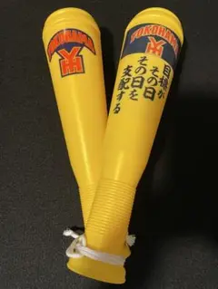 横浜高校 応援用メガホン 2本セット