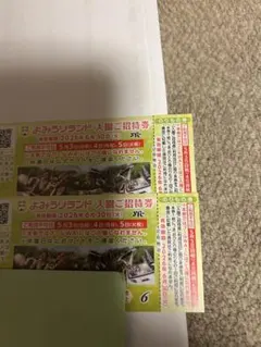 よみうりランド 入場招待券 2枚のサムネイル