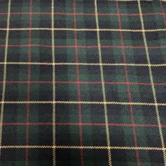 Item thumbnail for item 1182bd5a-046c-42d2-93fa-99fa5a0b12ce