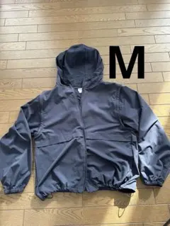 Item thumbnail for item d1c5f95a-6b01-4760-aa2b-63ed4f269df5