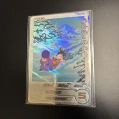 ugm8-011 DA 孫悟空:少年期