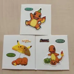 ポケモンカード】絶版！ポンチョピカチュウ かいじゅう デッキシールド