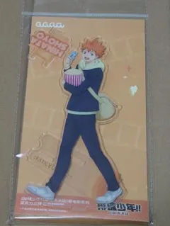 ハイキュー!! アクリルスタンド 日向翔陽