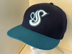 湘南シーレックス支給品　鶴岡一成　練習　ベイスターズ 湘南シーレックス支給品 鶴岡一成 練習 ベイスターズ - メルカリ